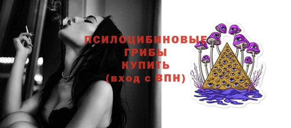 гидропоника Медногорск