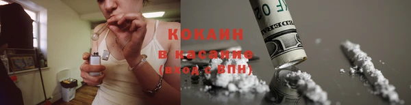 крисы Мегион