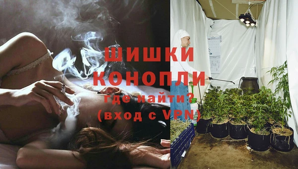 крисы Мегион