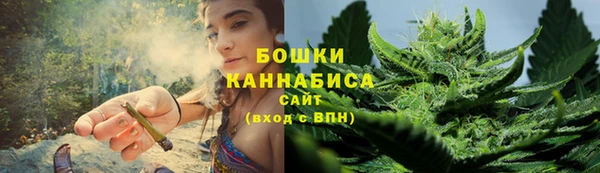 гидропоника Медногорск