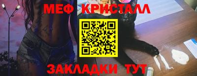 стафф Гай