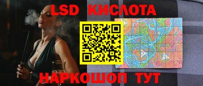 стафф Гай