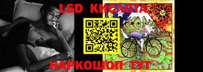 стафф Гай
