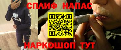 гидра Гагарин