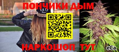 гидра Гагарин