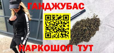 стафф Гай