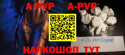 стафф Гай